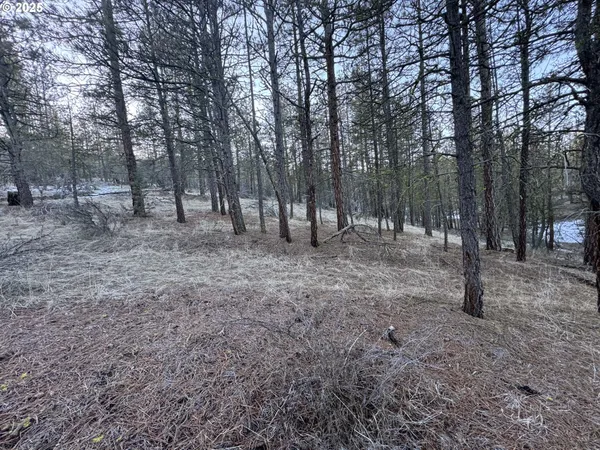 $9,000 | Bobcat Circle, Beatty, OR 97621