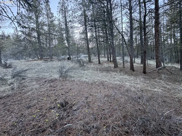 $9,000 | Bobcat Circle, Beatty, OR 97621