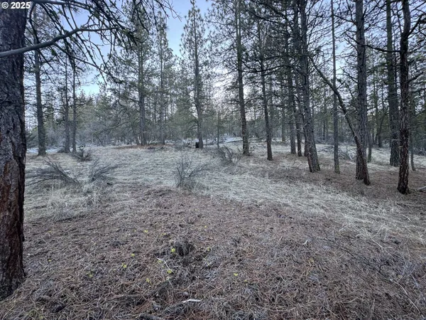 $9,000 | Bobcat Circle, Beatty, OR 97621