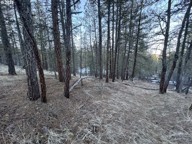 a view of outdoor space with trees
