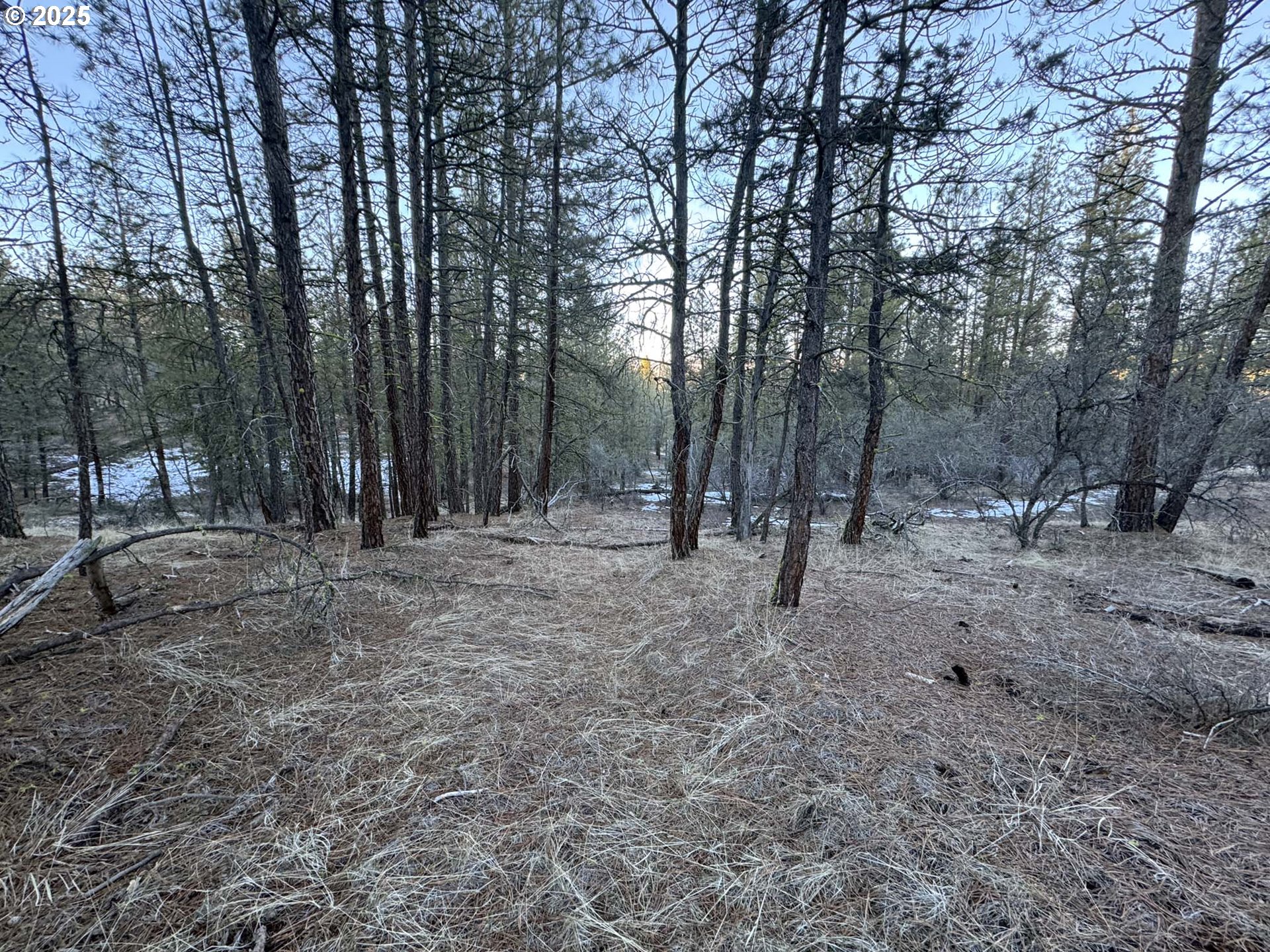 Bobcat Circle Beatty, OR 97621 - Photo 20 of 30 a view of outdoor space with trees