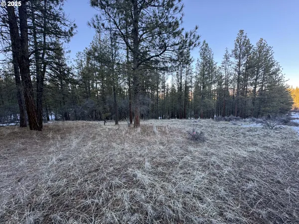 $9,000 | Bobcat Circle, Beatty, OR 97621
