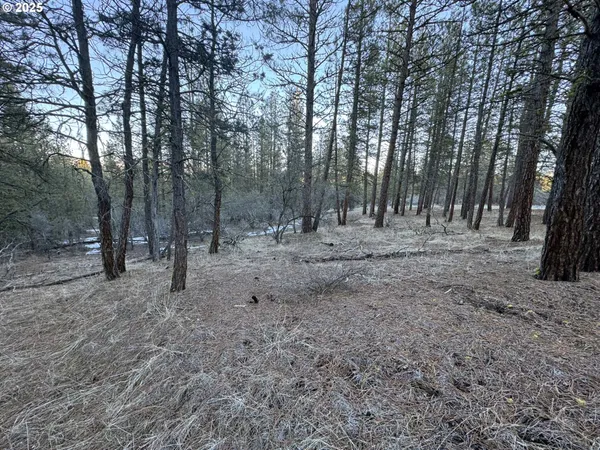 $9,000 | Bobcat Circle, Beatty, OR 97621