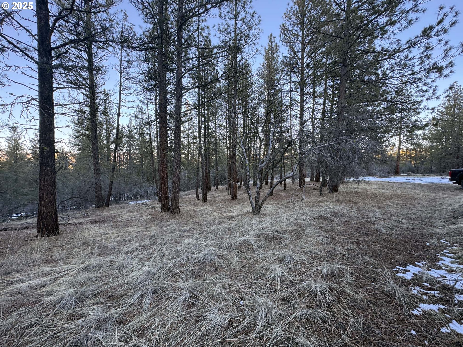 Bobcat Circle Beatty, OR 97621 - Photo 22 of 30 a view of a forest with trees in the background