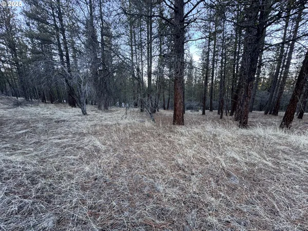 $9,000 | Bobcat Circle, Beatty, OR 97621