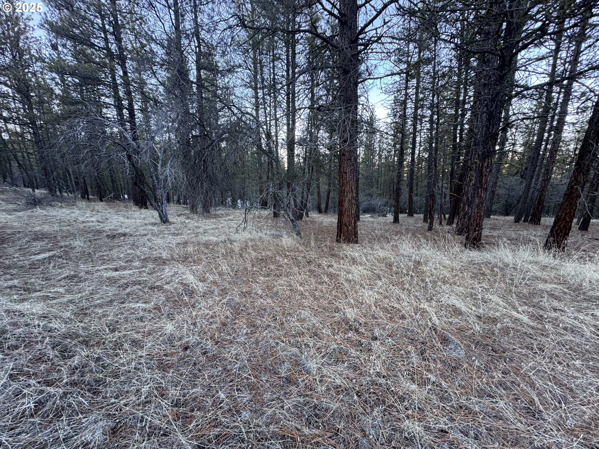Bobcat Circle Beatty, OR 97621 - Photo 27 of 30 a view of backyard with green space