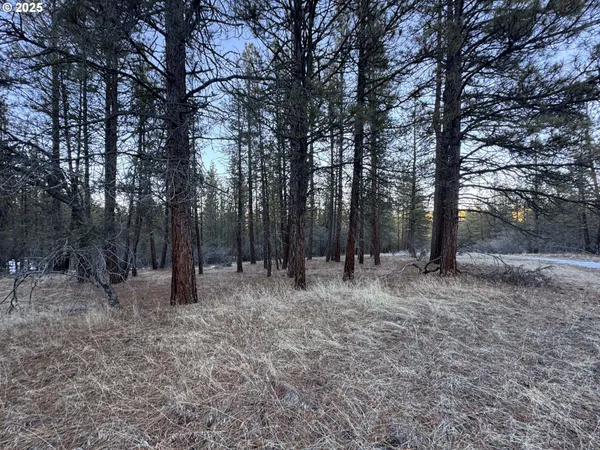 $9,000 | Bobcat Circle, Beatty, OR 97621