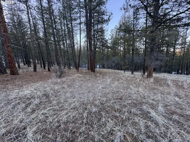 a view of outdoor space with trees