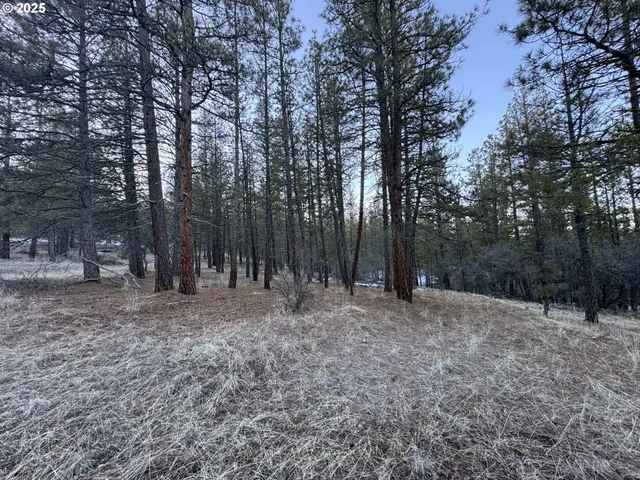 a view of outdoor space with trees