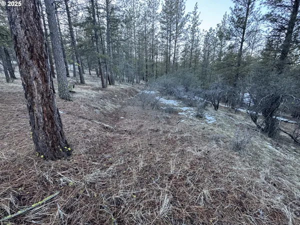 $9,000 | Bobcat Circle, Beatty, OR 97621