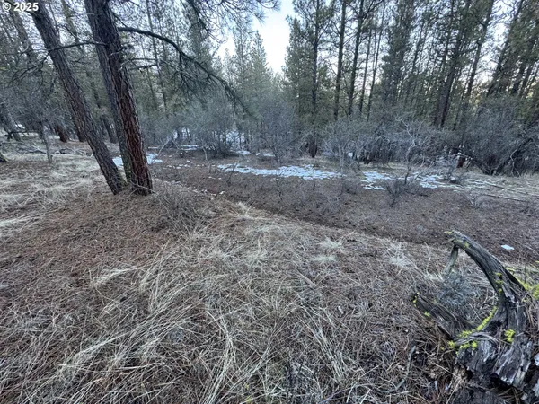 $9,000 | Bobcat Circle, Beatty, OR 97621