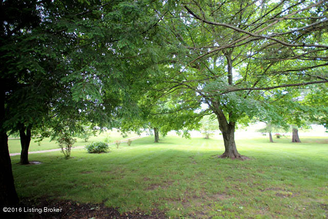 2912 Sunbeam Road Leitchfield, KY 42754 - Photo 4 of 90 fv1