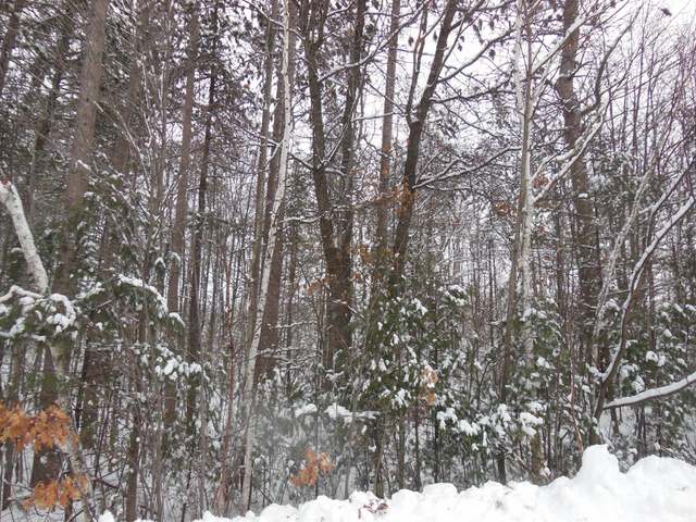 Lot 12 Cottage Road Tomahawk, WI 54487 - Photo 5 of 7 Gallery Image 5