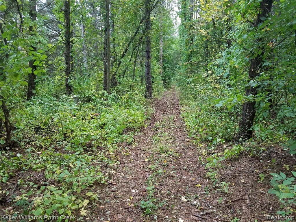 3950 Maybee Road Lake Orion, MI 48359 - Photo 30 of 33 trails2.jpg