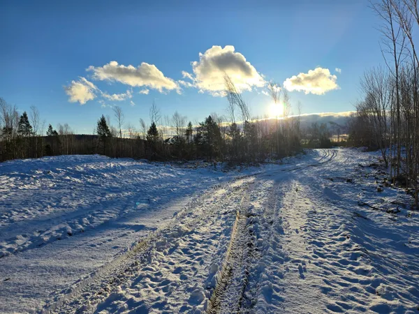 $29,900 | Lot 6 South Treadwell Hill Road, Springfield, ME 04487