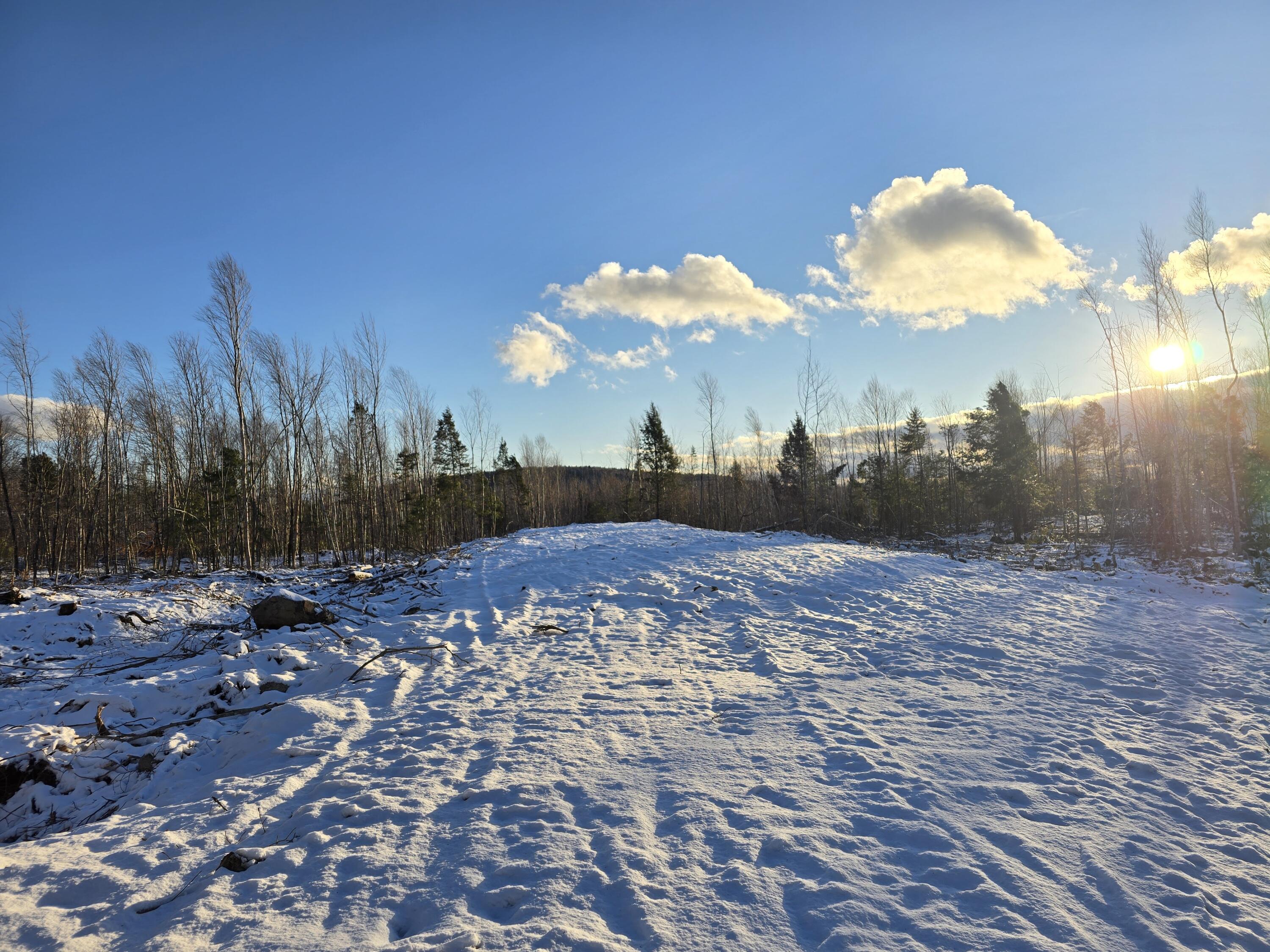 Lot 6 South Treadwell Hill Road Springfield, ME 04487 - Photo 12 of 14 20241219_145010