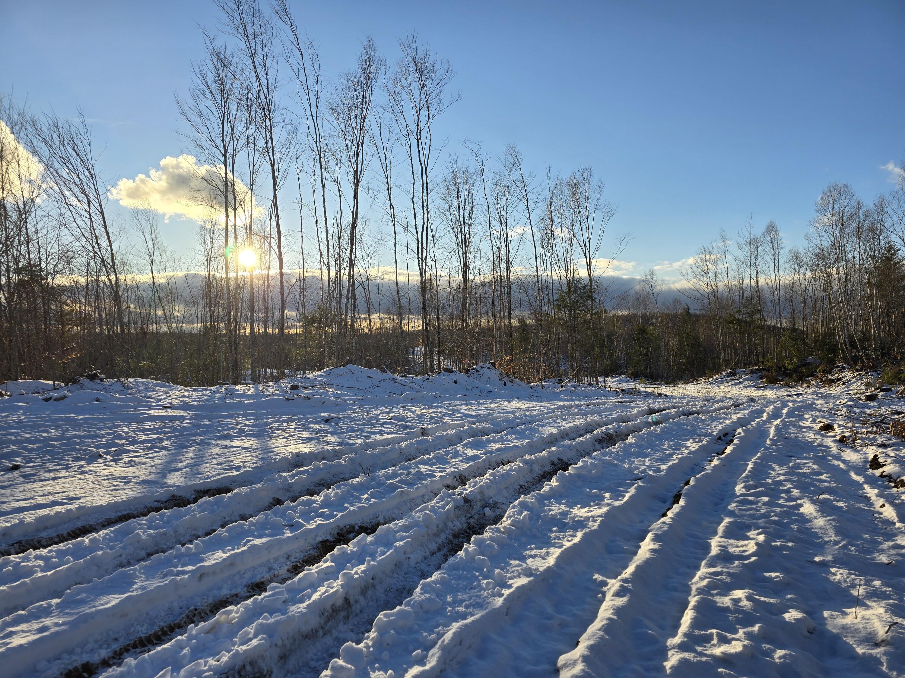 Lot 6 South Treadwell Hill Road Springfield, ME 04487 - Photo 13 of 14 20241219_145111