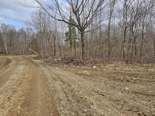 $29,900 | Lot 6 South Treadwell Hill Road, Springfield, ME 04487