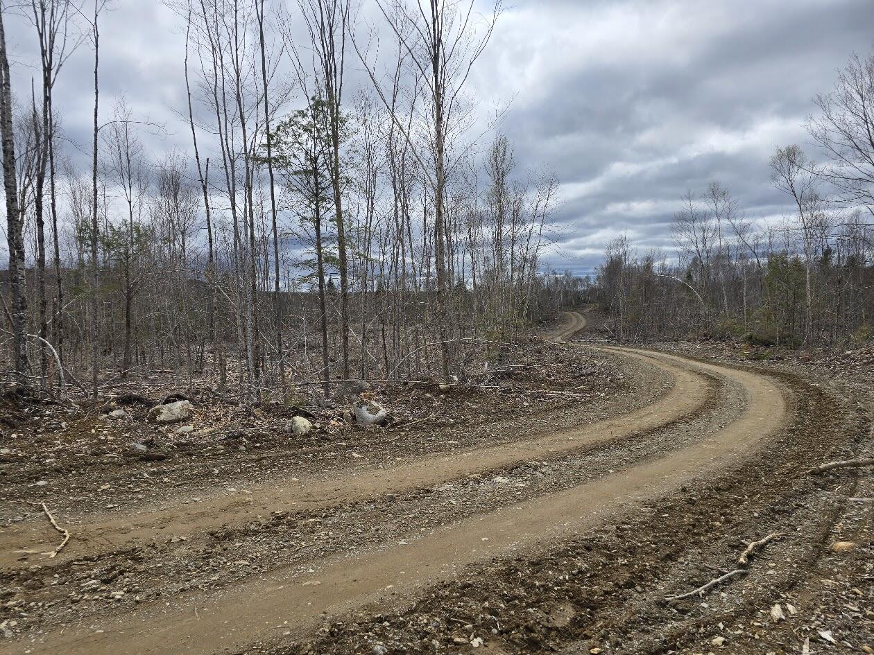 Lot 6 South Treadwell Hill Road Springfield, ME 04487 - Photo 4 of 14 20250508_135856