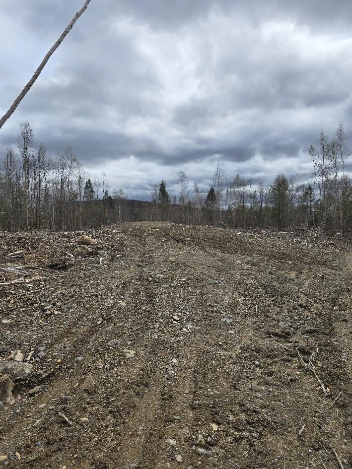 Lot 6 South Treadwell Hill Road Springfield, ME 04487 - Photo 6 of 14 20250508_135953