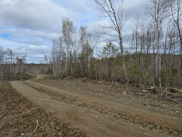 $29,900 | Lot 6 South Treadwell Hill Road, Springfield, ME 04487