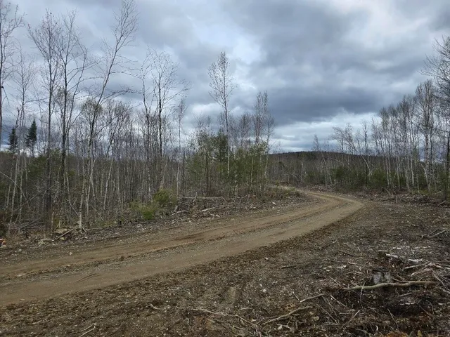 $29,900 | Lot 6 South Treadwell Hill Road, Springfield, ME 04487