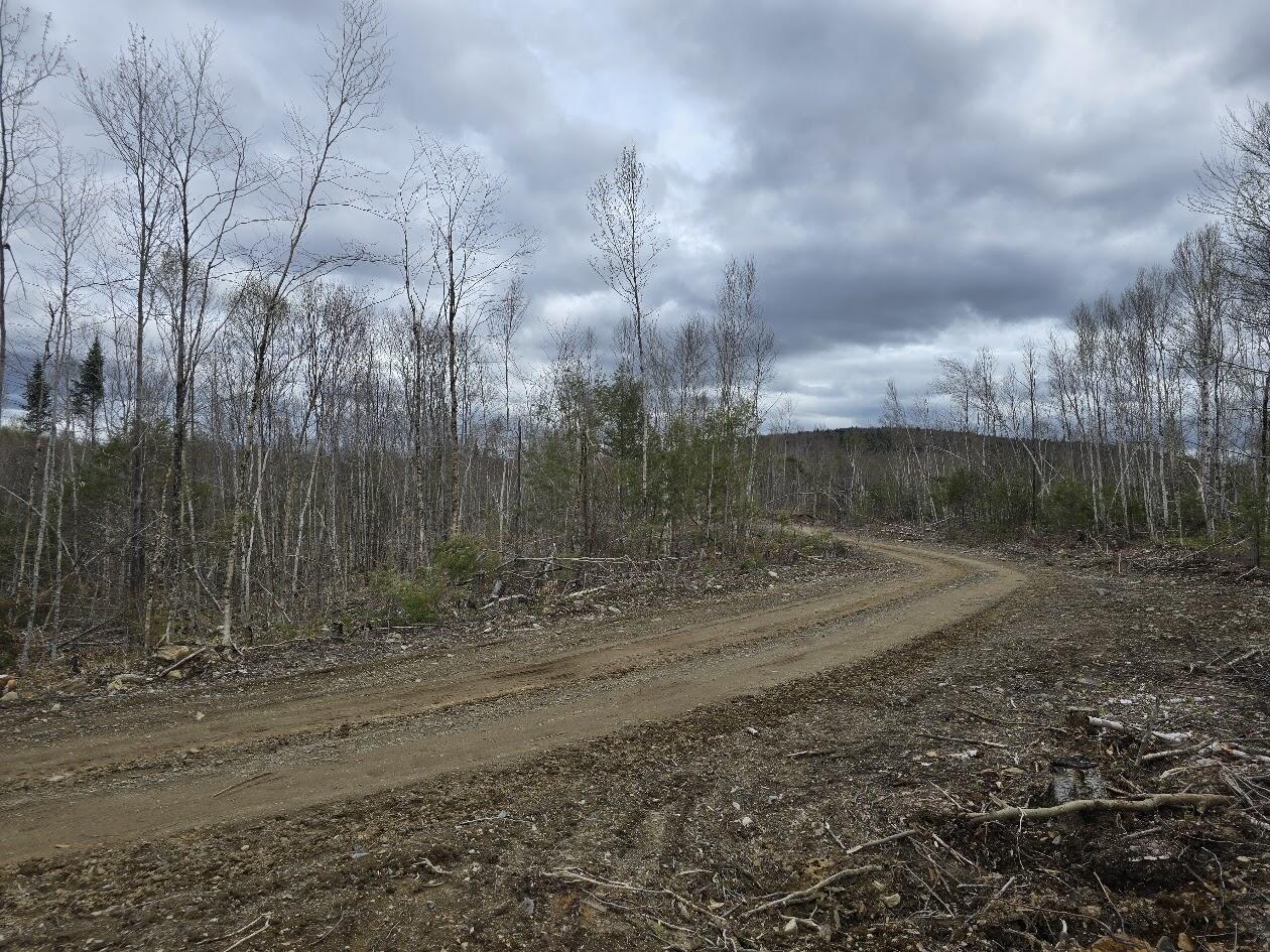 Lot 6 South Treadwell Hill Road Springfield, ME 04487 - Photo 8 of 14 20250508_140212