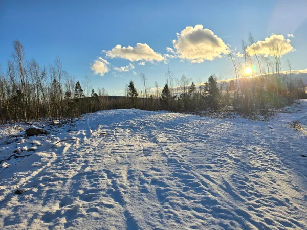 $29,900 | Lot 6 South Treadwell Hill Road, Springfield, ME 04487
