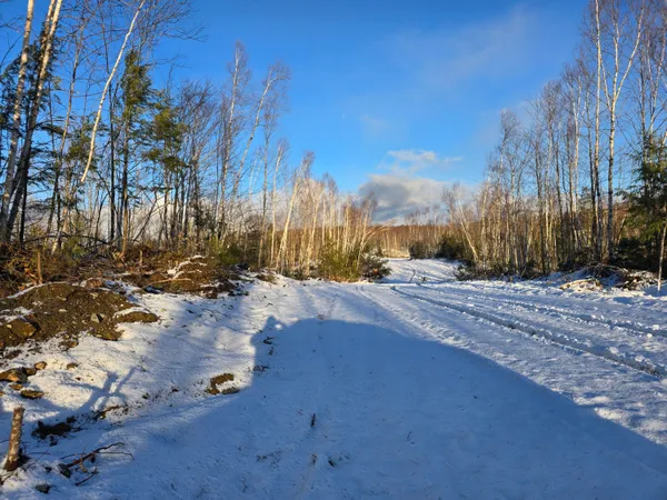 $29,900 | Lot 6 South Treadwell Hill Road, Springfield, ME 04487