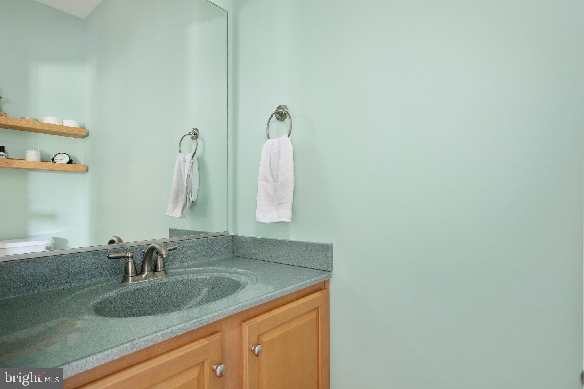 516 Zepp Road Maurertown, VA 22644 - Photo 20 of 63 Half Bath