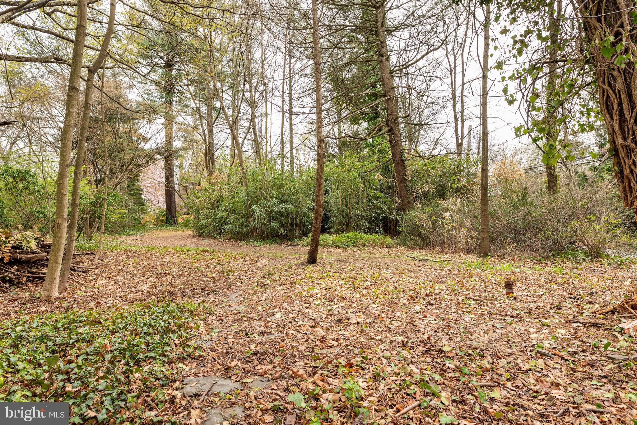 1 East Brookhaven Road Wallingford, PA 19086 - Photo 55 of 57 a backyard of a house with lots of green space