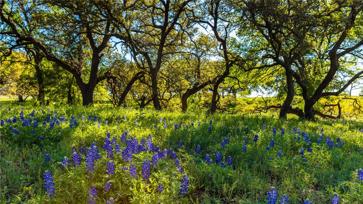 6436 Scenic View Trail Bryan, TX 77808 - Photo 5 of 11 a picture of street