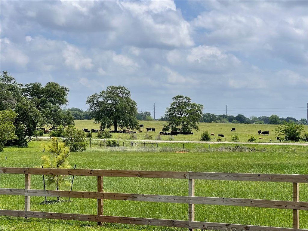 6436 Scenic View Trail Bryan, TX 77808 - Photo 7 of 11 a view of a big yard with plants and large trees