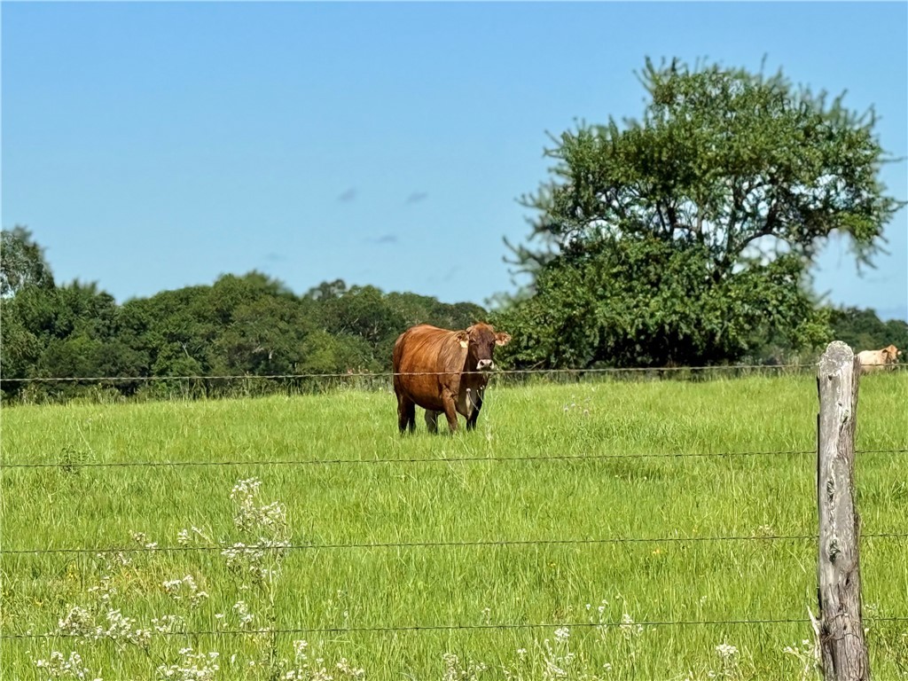 6436 Scenic View Trail Bryan, TX 77808 - Photo 9 of 11 a house view with a garden space