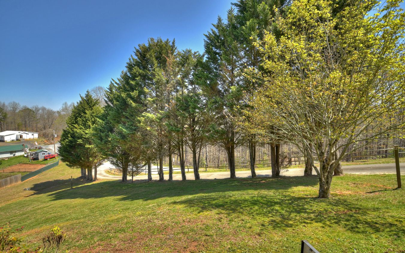 852 Bullen Gap Road Blue Ridge, GA 30513 - Photo 12 of 46 Additional View