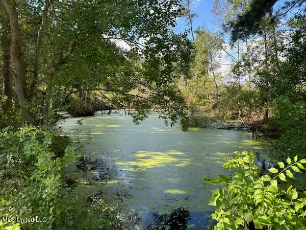 $79,500 | 32-acres Garner Road, Mount Olive, MS 39119