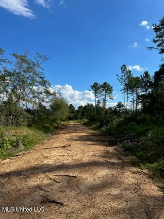 $79,500 | 32-acres Garner Road, Mount Olive, MS 39119