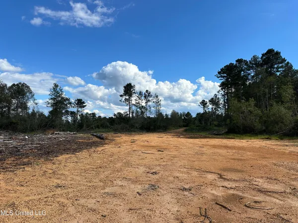 $79,500 | 32-acres Garner Road, Mount Olive, MS 39119