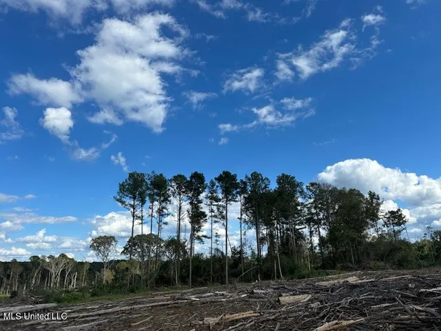 $79,500 | 32-acres Garner Road, Mount Olive, MS 39119