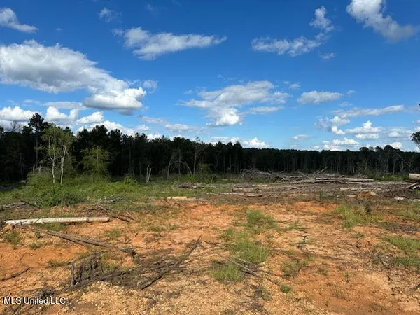 $79,500 | 32-acres Garner Road, Mount Olive, MS 39119