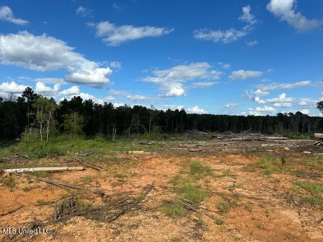 $79,500 | 32-acres Garner Road, Mount Olive, MS 39119