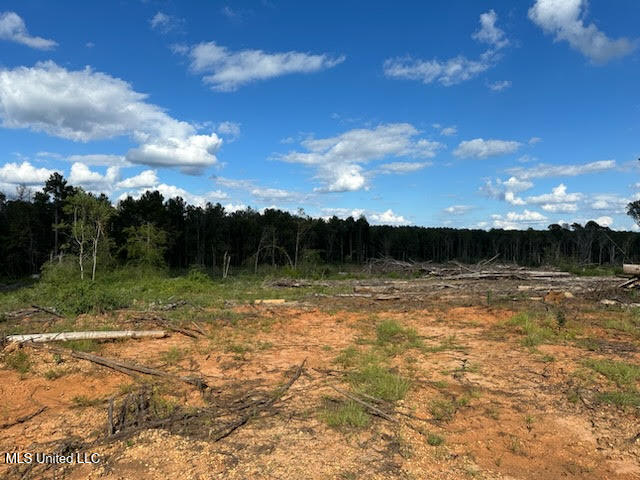 32-acres Garner Road Mount Olive, MS 39119 - Photo 6 of 9 unnamed (6)