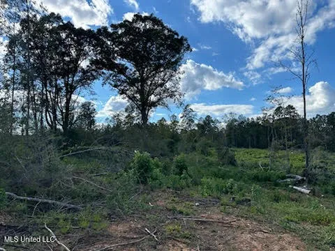 $79,500 | 32-acres Garner Road, Mount Olive, MS 39119