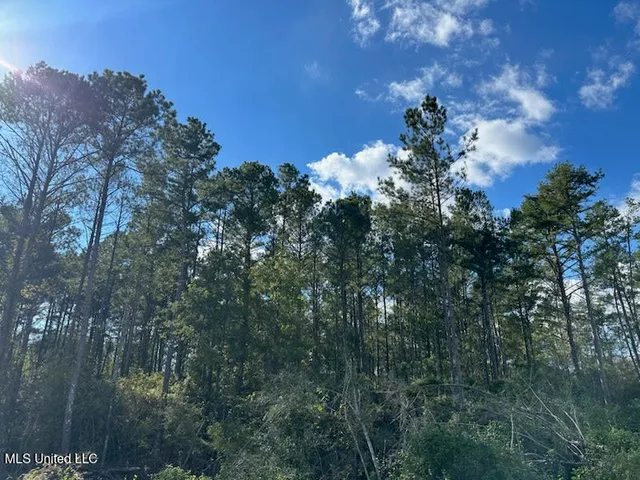 $79,500 | 32-acres Garner Road, Mount Olive, MS 39119