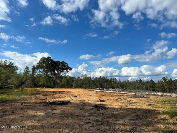 $79,500 | 32-acres Garner Road, Mount Olive, MS 39119