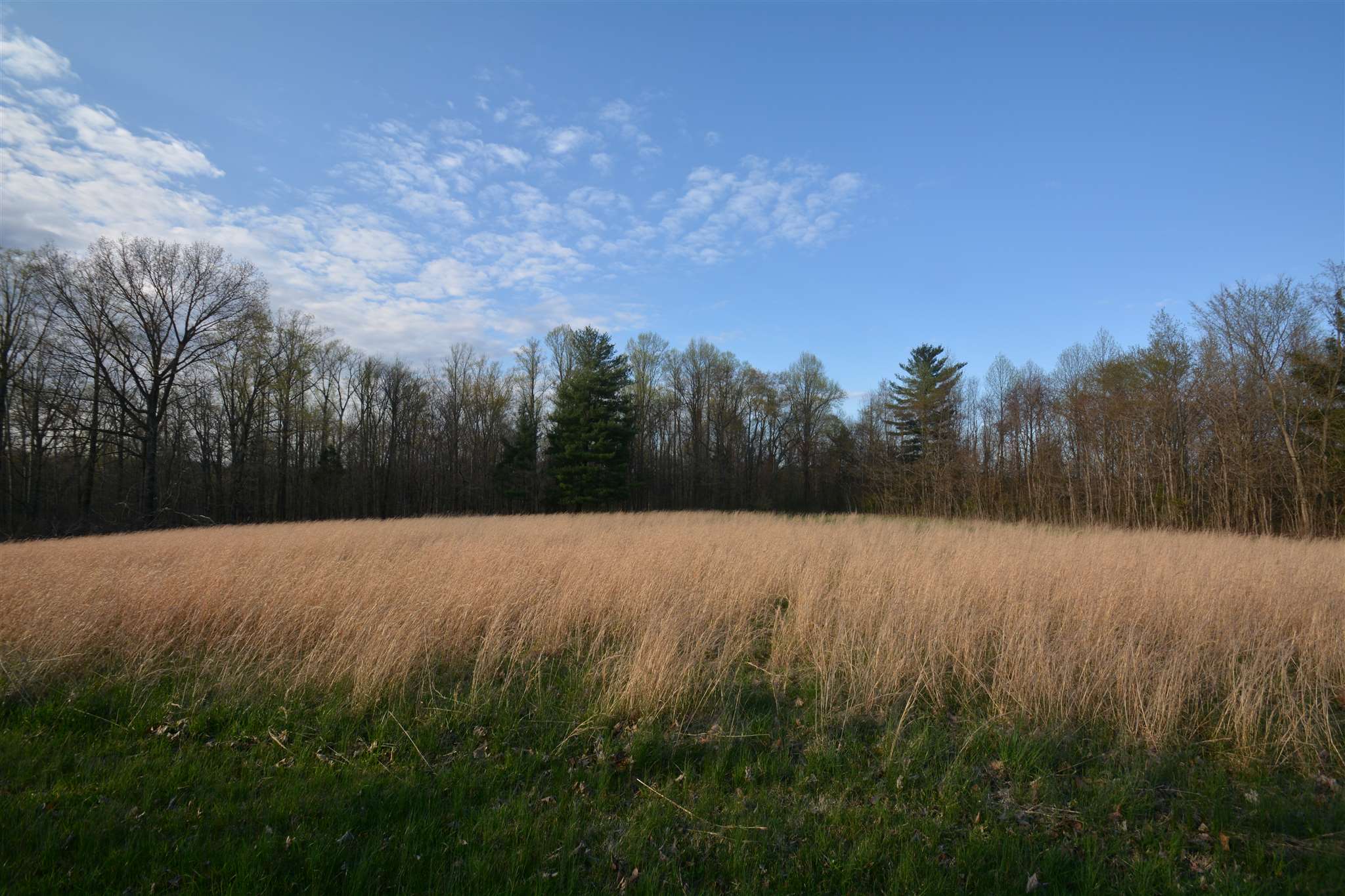 8489 South Rockport Road Bloomington, IN 47403 - Photo 16 of 24 Gallery Image 16