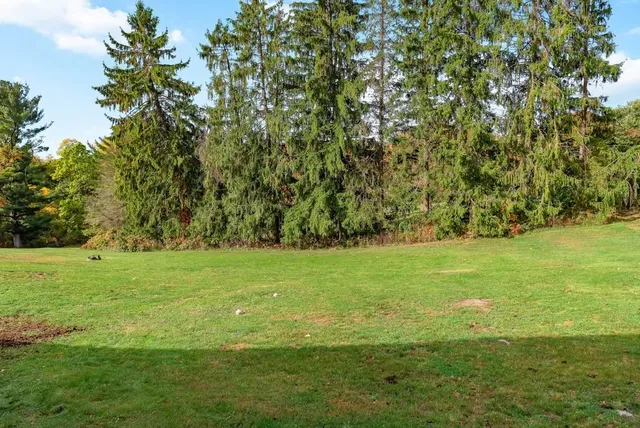 a front view of house with yard and green space