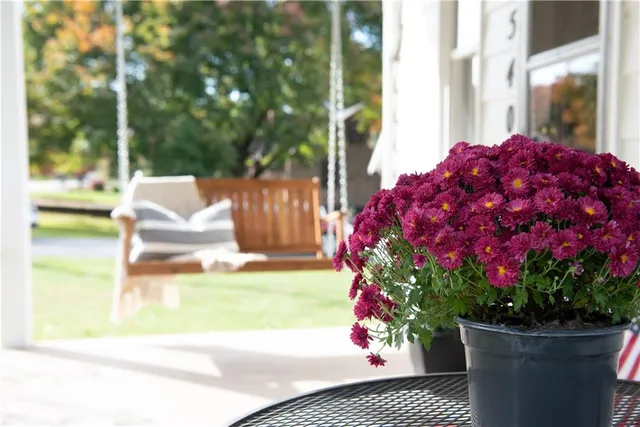 a house view with a garden space
