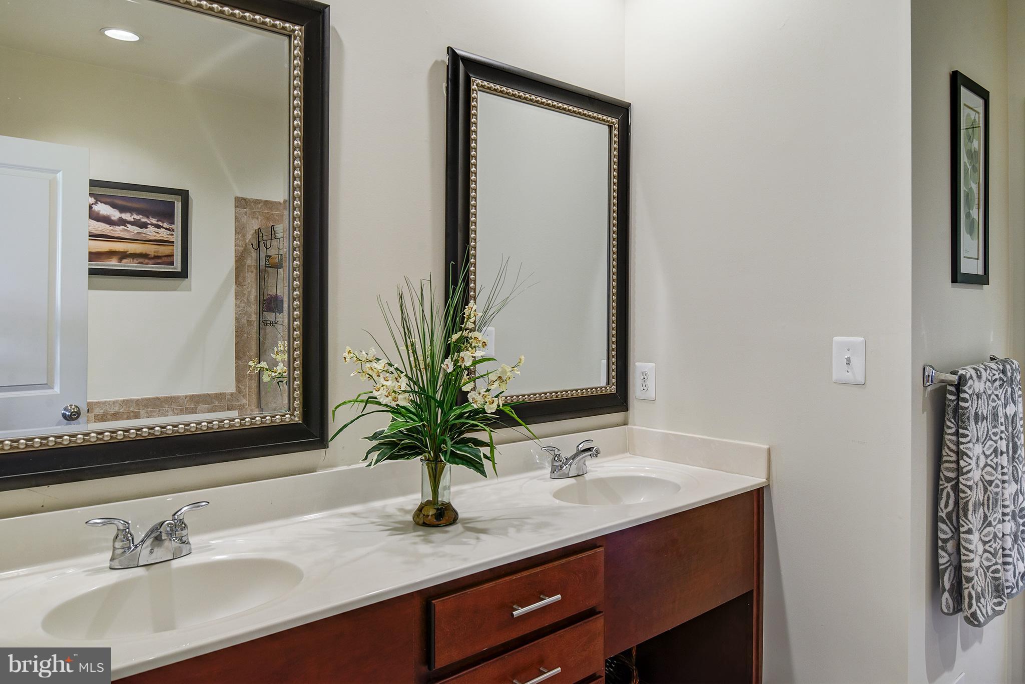 42264 Rhett Drive Ashburn, VA 20148 - Photo 17 of 26 Bath (Master)