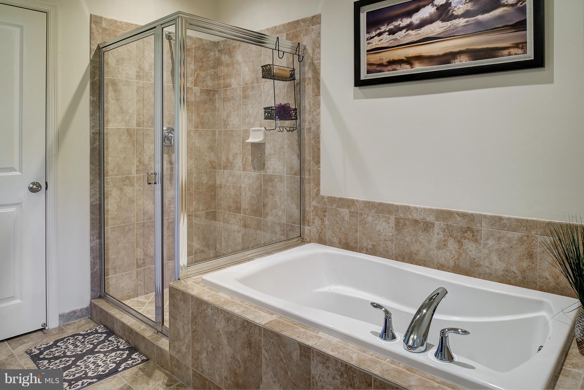 42264 Rhett Drive Ashburn, VA 20148 - Photo 18 of 26 Bath (Master)